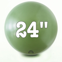24 inch
